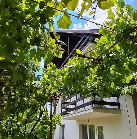 Cazare Vila Maria Ubytování v soukromí Curtea de Argeş