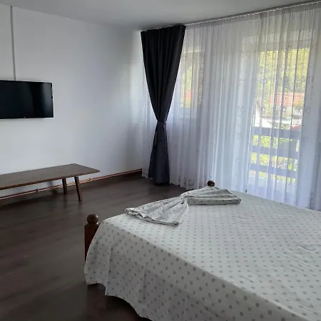 Cazare Vila Maria Curtea de Argeş